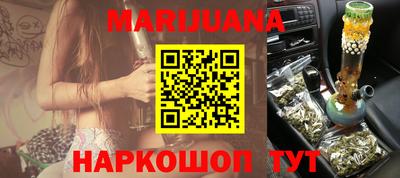 гашик Камышлов