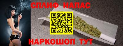 гашик Камышлов
