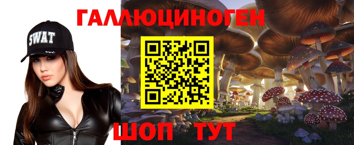 Котельники  купить  сайты  Вход с VPN  Галлюциногенные грибы MAGIC MUSHROOMS  Псилоцибиновые грибы мицелий 